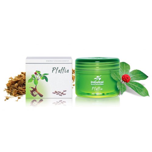 Pfaffia